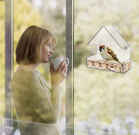 Window-Mounted Acrylic Bird Feeder – Watch Birds Up Close