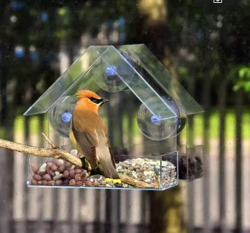 Window-Mounted Acrylic Bird Feeder – Watch Birds Up Close