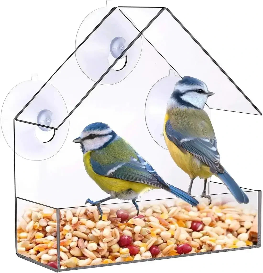 Window-Mounted Acrylic Bird Feeder – Watch Birds Up Close