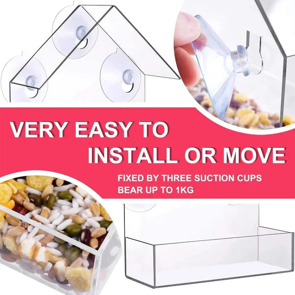 Window-Mounted Acrylic Bird Feeder – Watch Birds Up Close