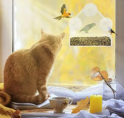 Window-Mounted Acrylic Bird Feeder – Watch Birds Up Close
