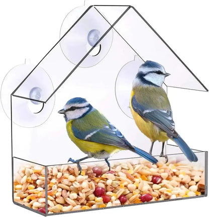 Window-Mounted Acrylic Bird Feeder – Watch Birds Up Close