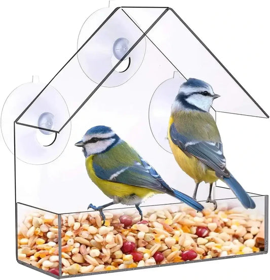 Window-Mounted Acrylic Bird Feeder – Watch Birds Up Close
