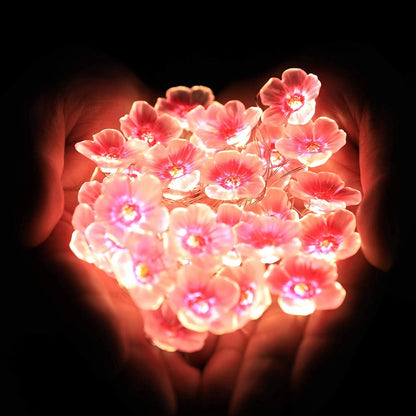 SakuraShine – The Soft Glow of Cherry Blossoms