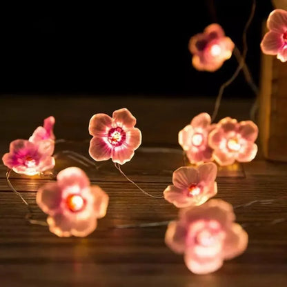 SakuraShine – The Soft Glow of Cherry Blossoms