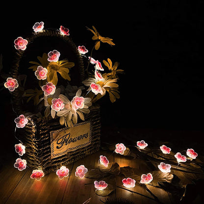 SakuraShine – The Soft Glow of Cherry Blossoms