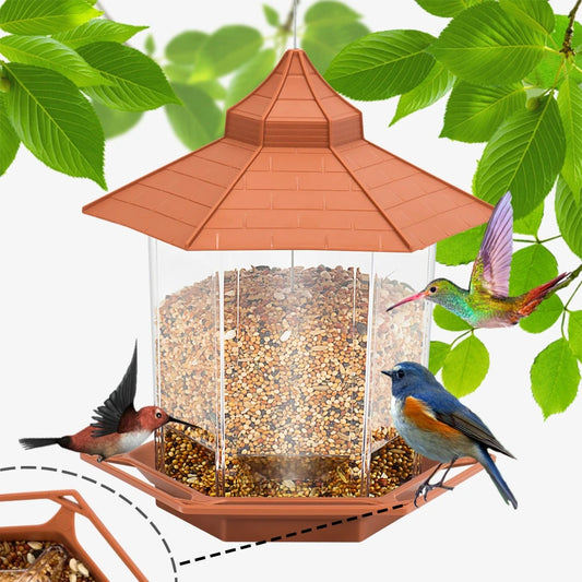 Attract Birds to Your Garden – Shelter, Hanging Feeder