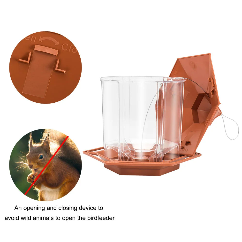 Attract Birds to Your Garden – Shelter, Hanging Feeder